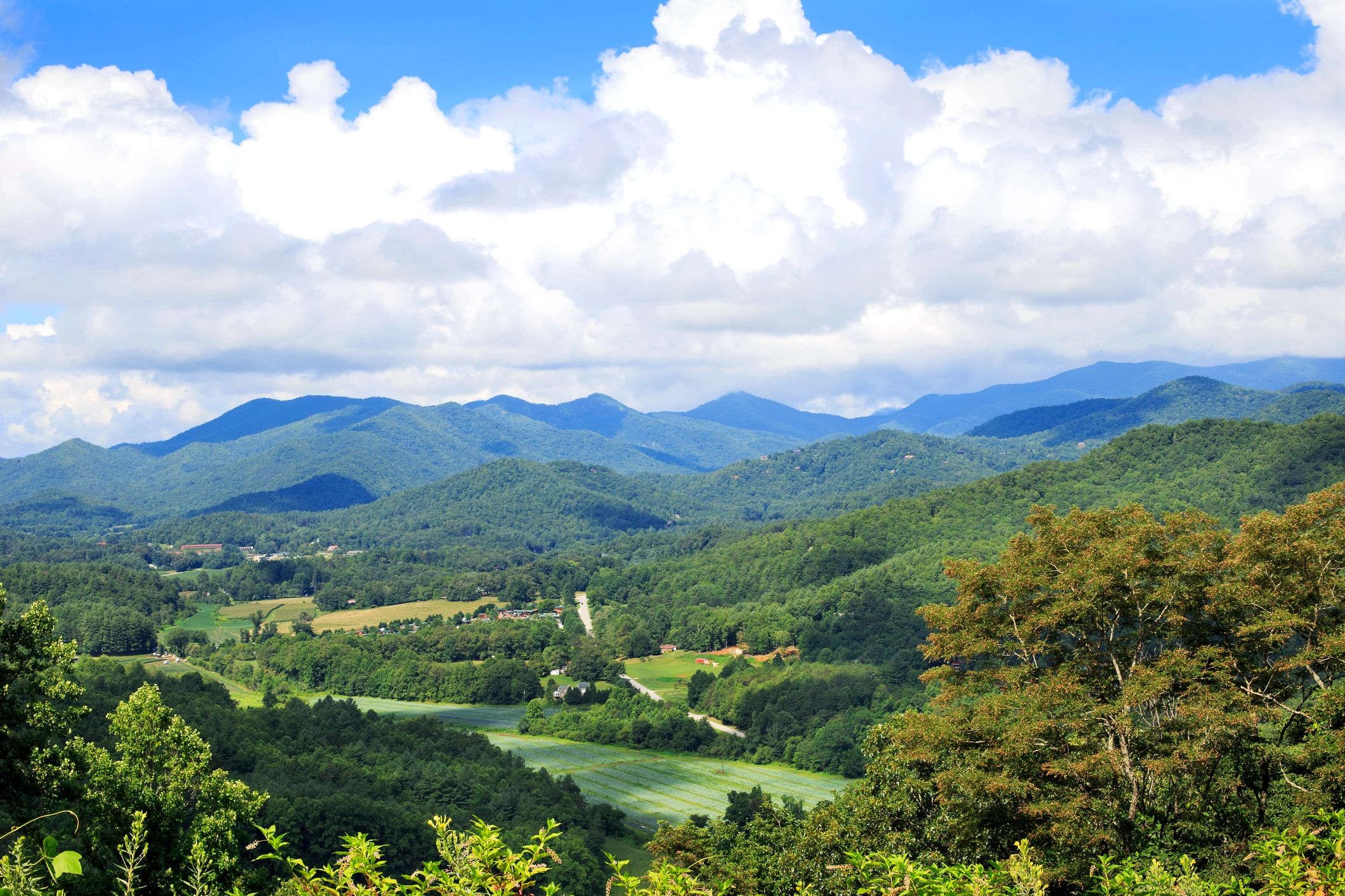 Mountain valley landscape representing the Appalachian setting of Scroggs Farm